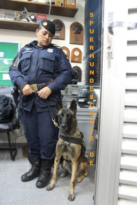 k9-dog-sau-paulo-police
