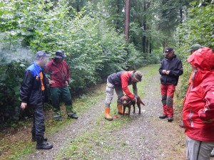 Anoplophora Spürhund