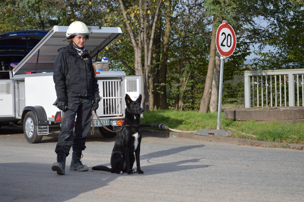Hundeführerin warte mit Rettungshund auf Anweisungen für die Suche ihrer Trümmerlage