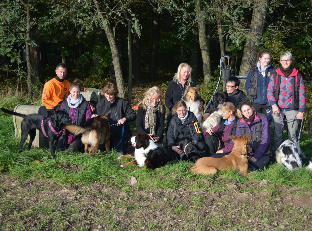 Gruppenfoto vom Oktober zum Workshop für Rettungshunde bei der Detection Dog School Germany